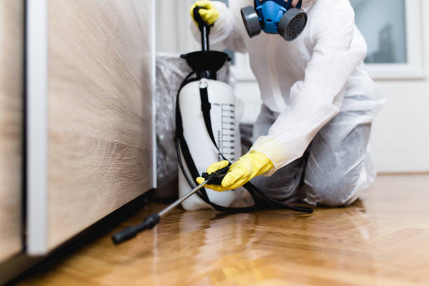 Best Mosquito Control Services  in Summerfield, NC