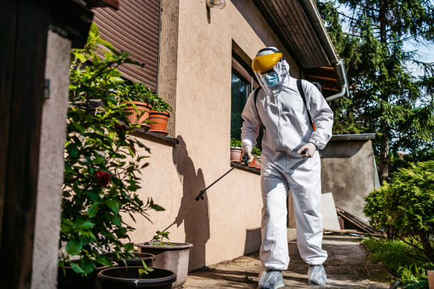 Best Termite Control Services  in Summerfield, NC